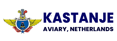 kas 2